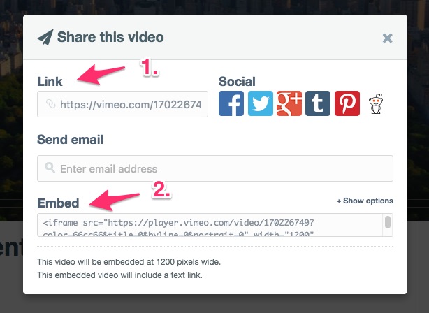 Embed your Vimeo videos and loop them